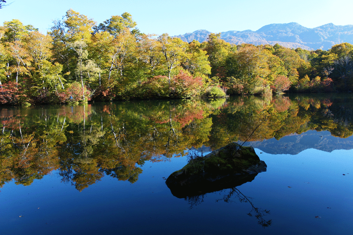【長野】秋意盎然的鐮池
