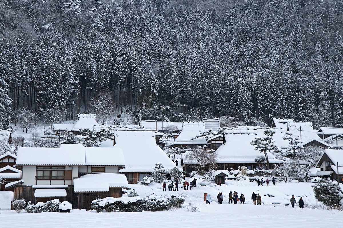 【京都】美山雪燈廊一日遊