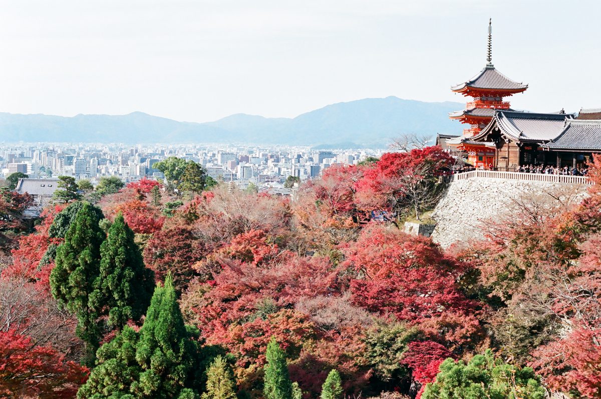 【研究生】日本租房鬼打牆