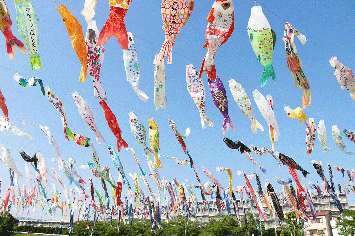 【大阪】高槻芥川櫻堤公園—鯉魚旗祭典