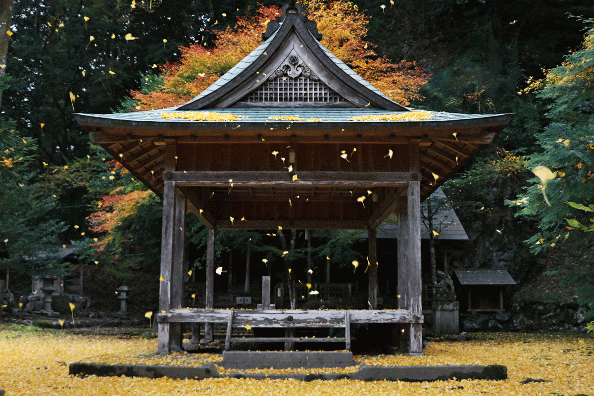 【京都】2018年楓況總整理