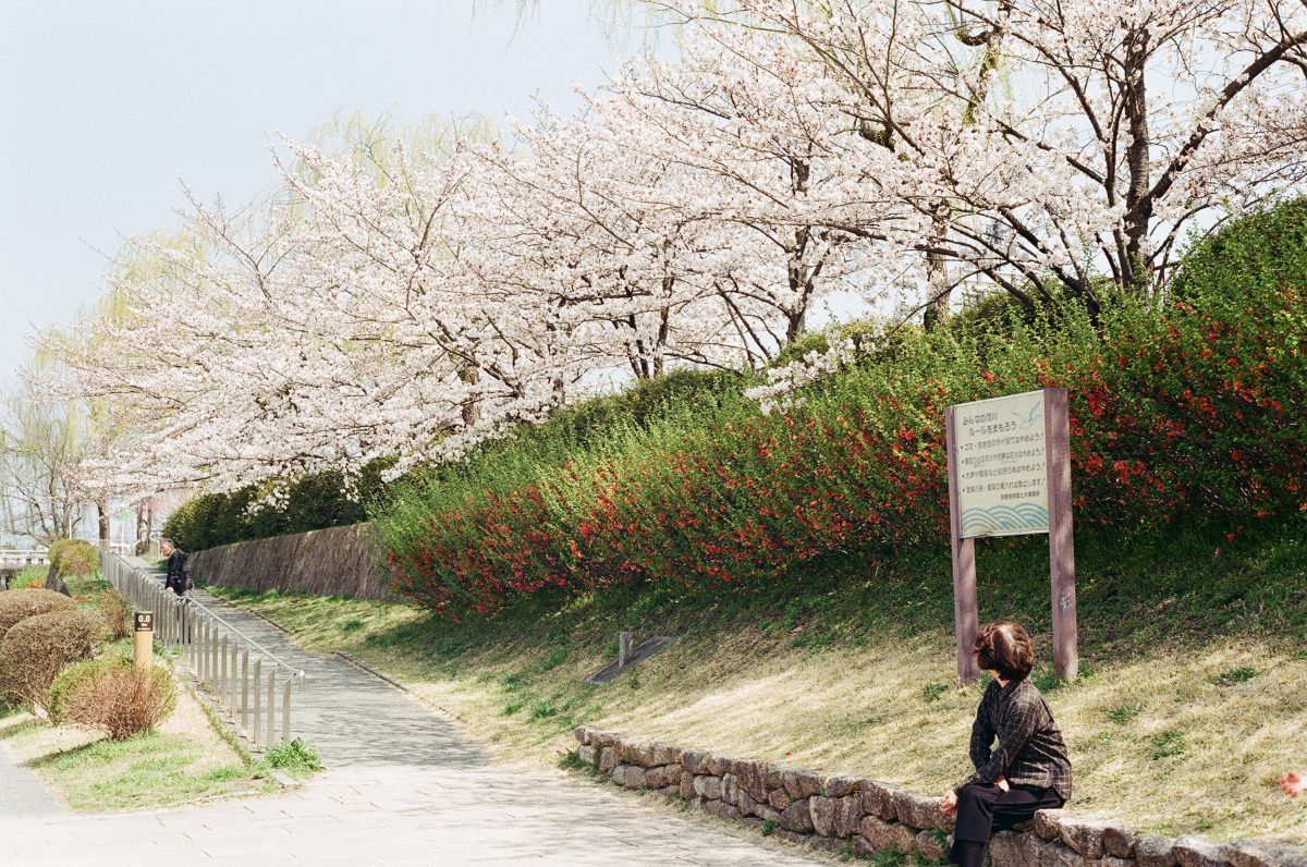 【留學日記】日本防疫衝啥毀