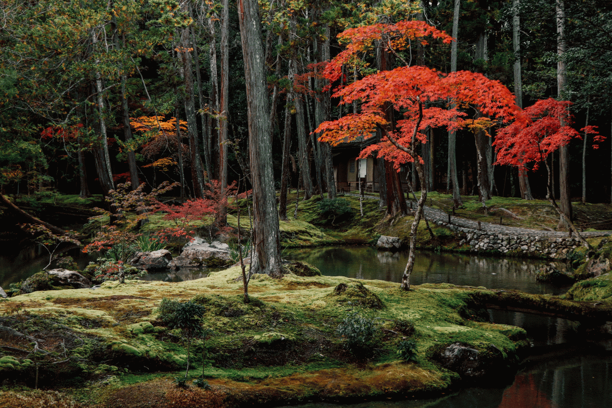 【京都】2020賞楓全記錄